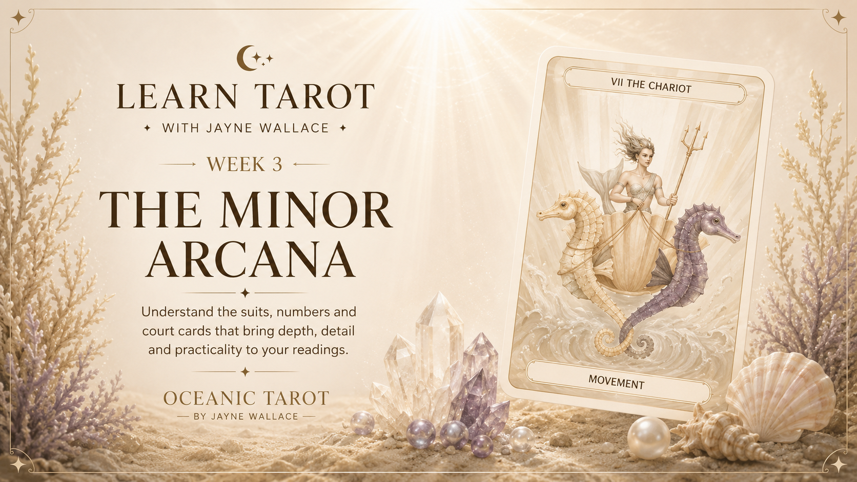 Week 3: The Minor Arcana