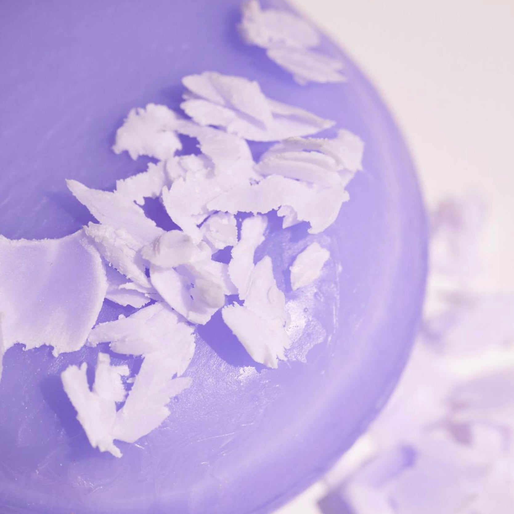 Rosemary & Biotin Conditioner Bar