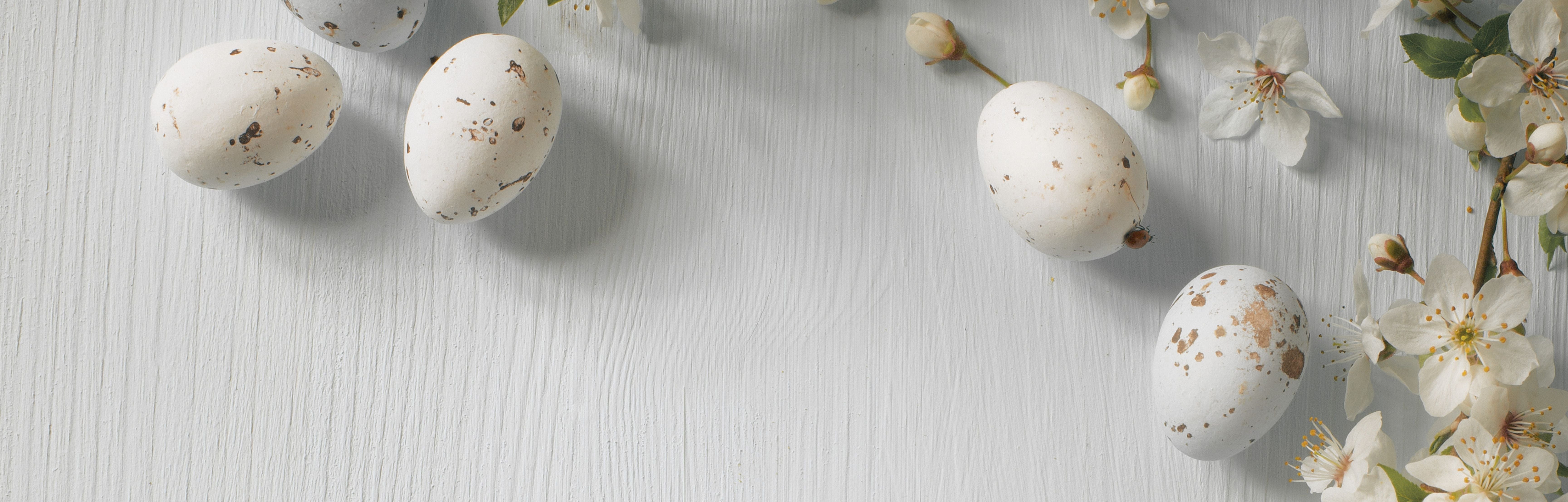 Decorative arrangement of speckled Easter eggs and white flowers on a light wooden surface.