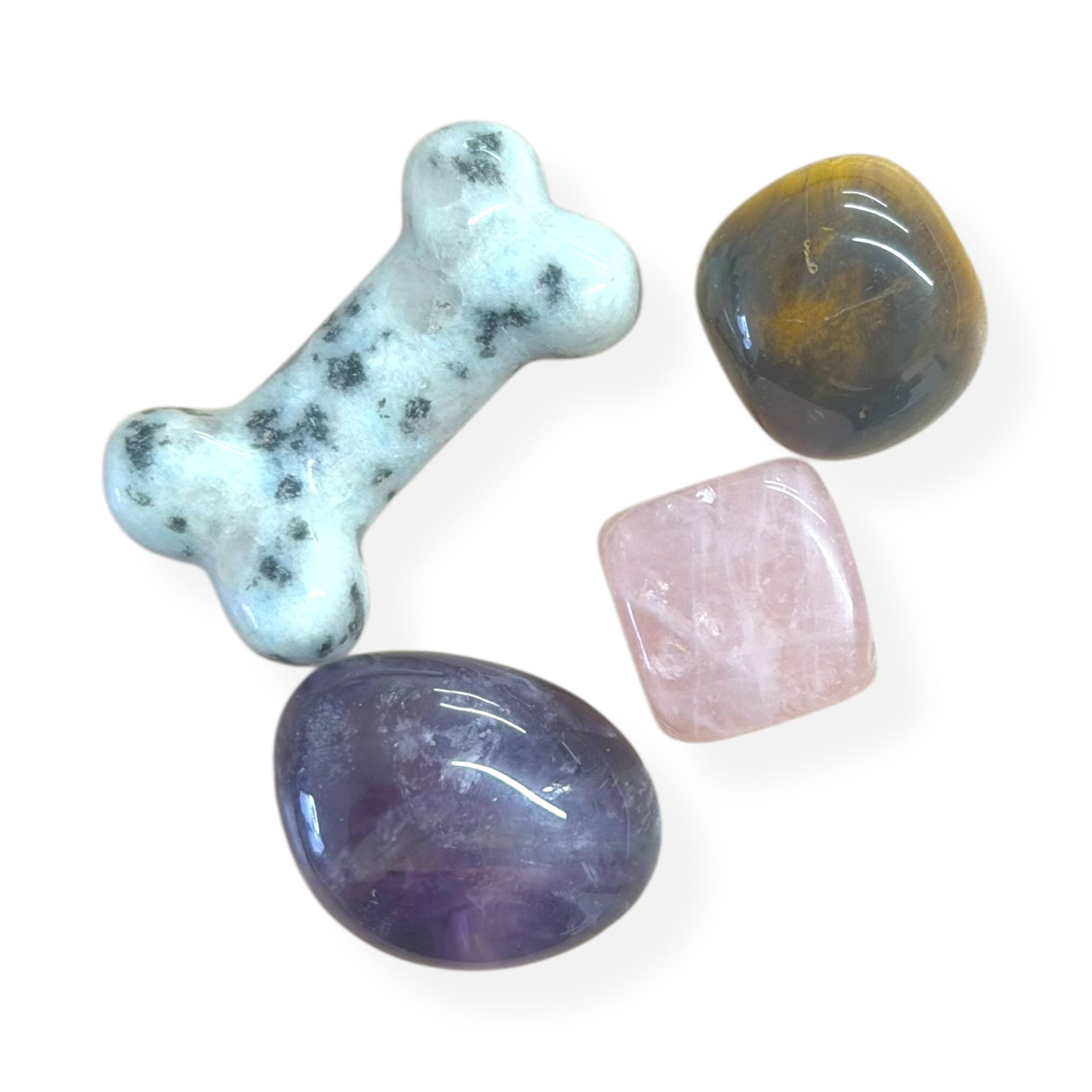 Dog crystal set featuring a Dalmatian Jasper dog bone and various healing stones for dog lovers.