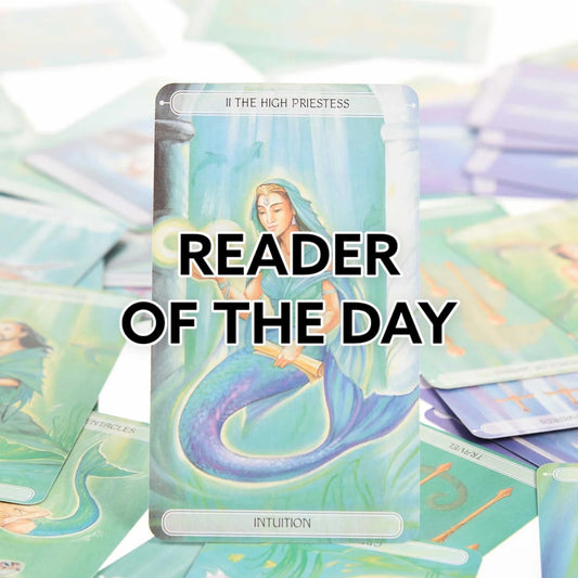 Reader Of The Day