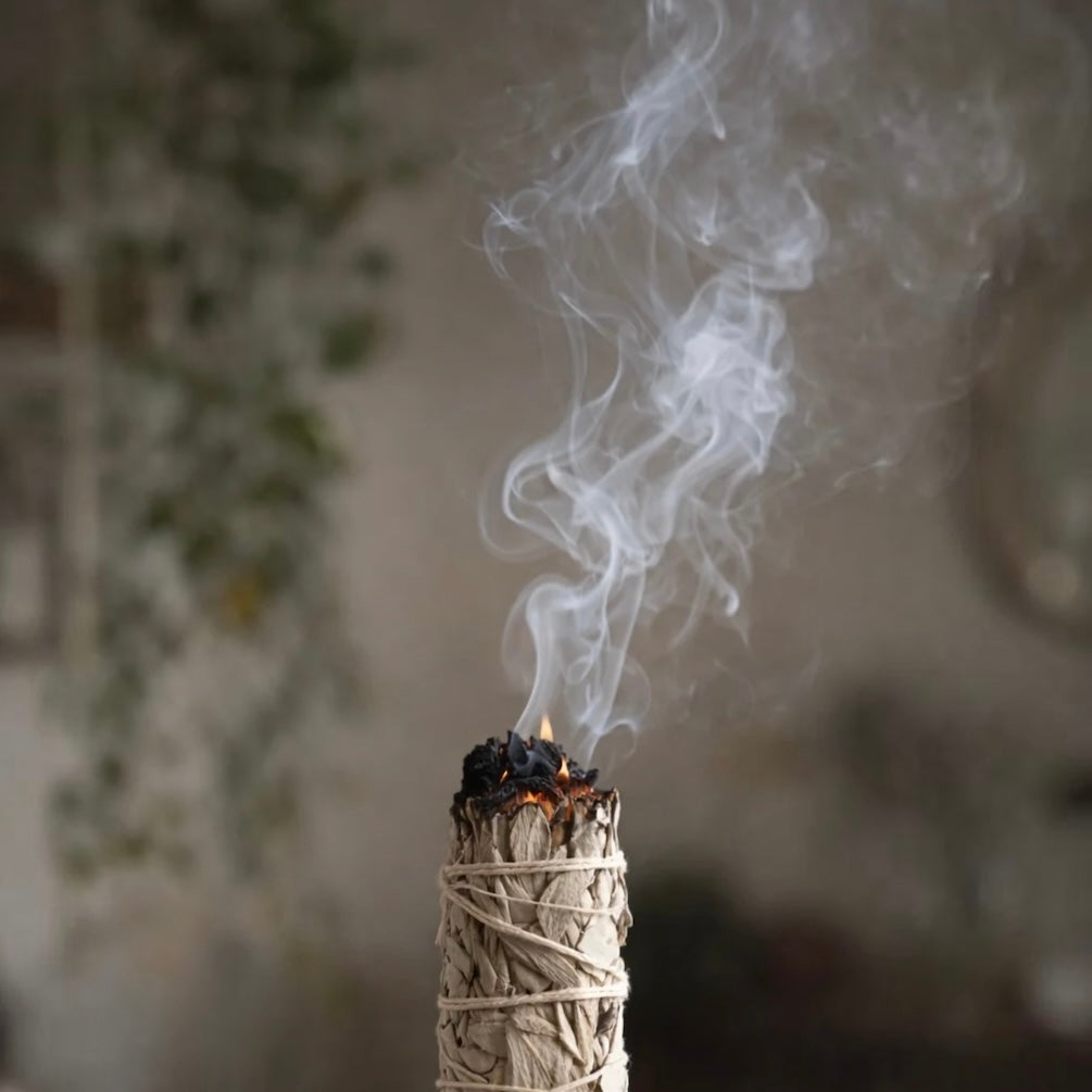 Psychic Sisters Sage Bundle – Twin Sage Sticks